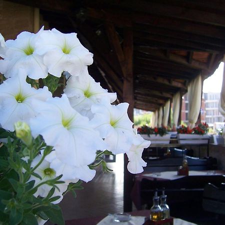 Hotel Luxor Lozenets Bagian luar foto
